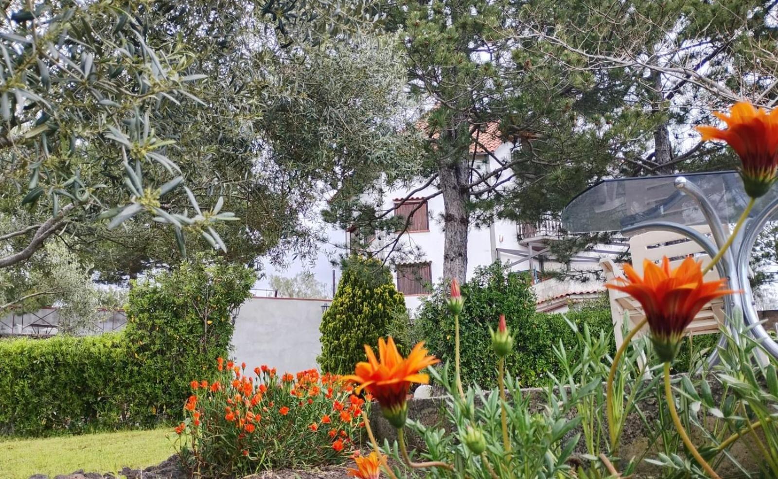 Villa Joele Nicolosi Extérieur photo
